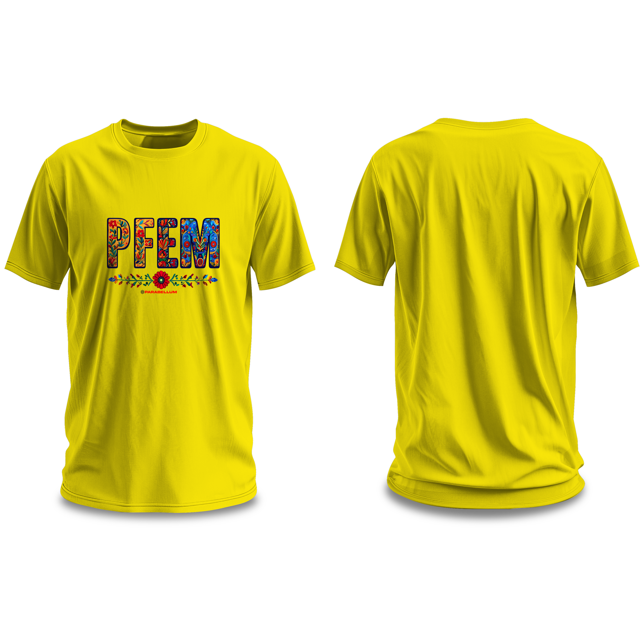 PFEM