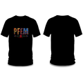 PFEM