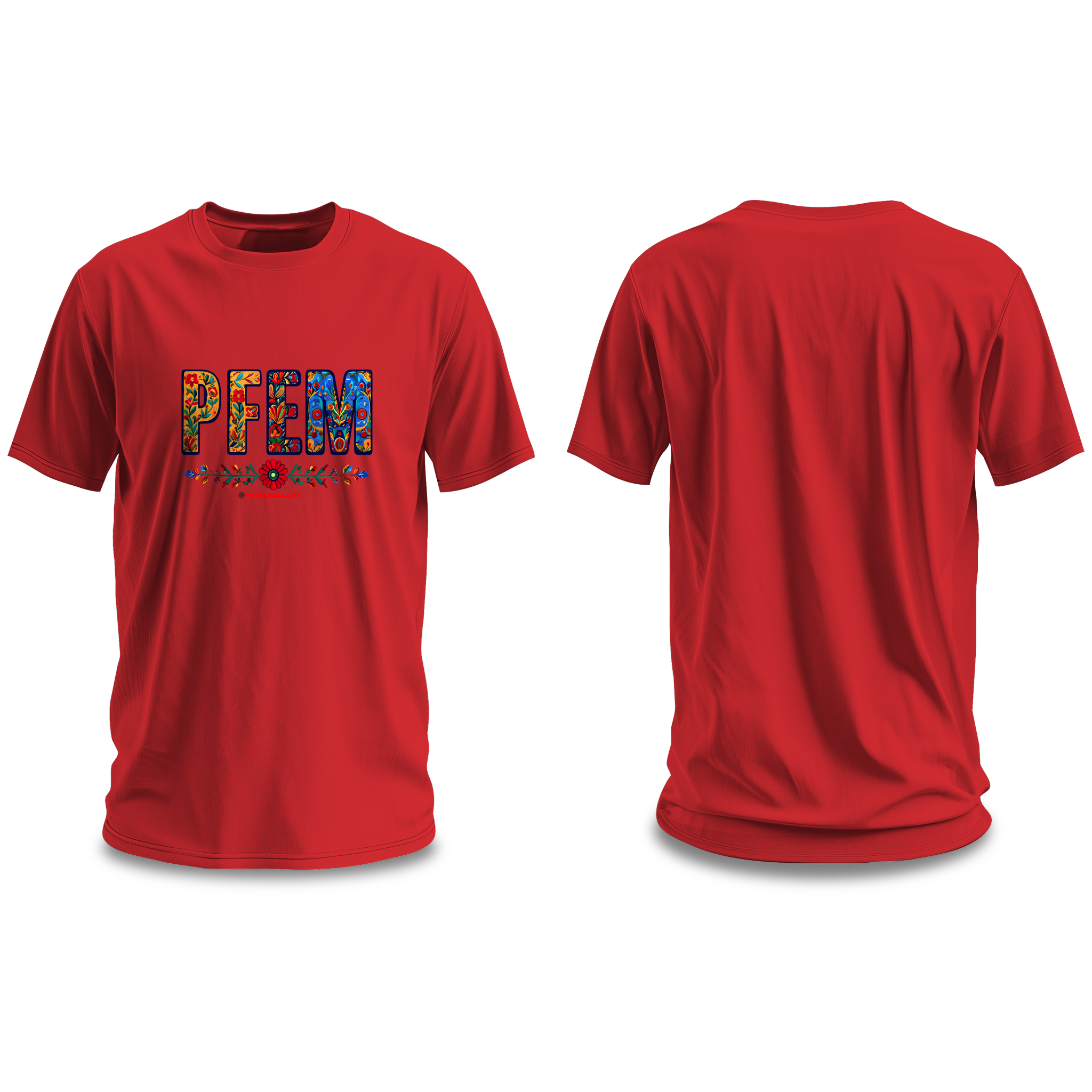 PFEM